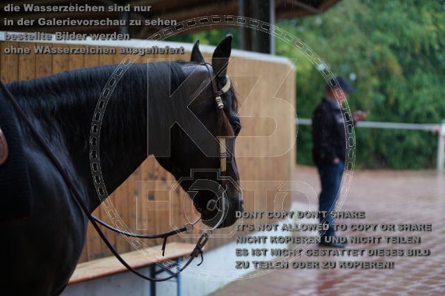 s_K3F02846.JPG